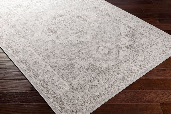 Livabliss Veranda Traditional Flatweave Polypropylene Accent Rug for Entryways and Hallways VRD2303-2211
