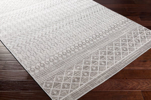 Livabliss Veranda Flat Weave Polypropylene Accent Rug Global Pattern for Entryway Layering VRD2305-2211