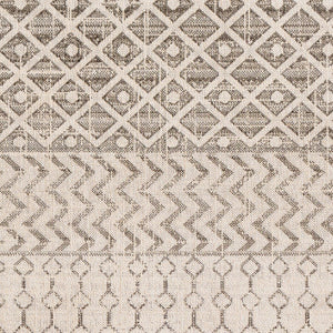 Livabliss Veranda Flat Weave Polypropylene Accent Rug Global Pattern for Entryway Layering VRD2305-2211