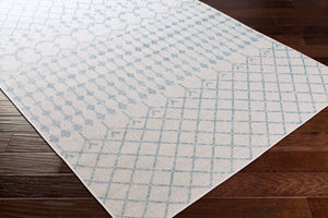Livabliss Veranda Global Flatweave Polypropylene Rug for Entryways Kitchens and High Traffic Areas VRD2306-2211