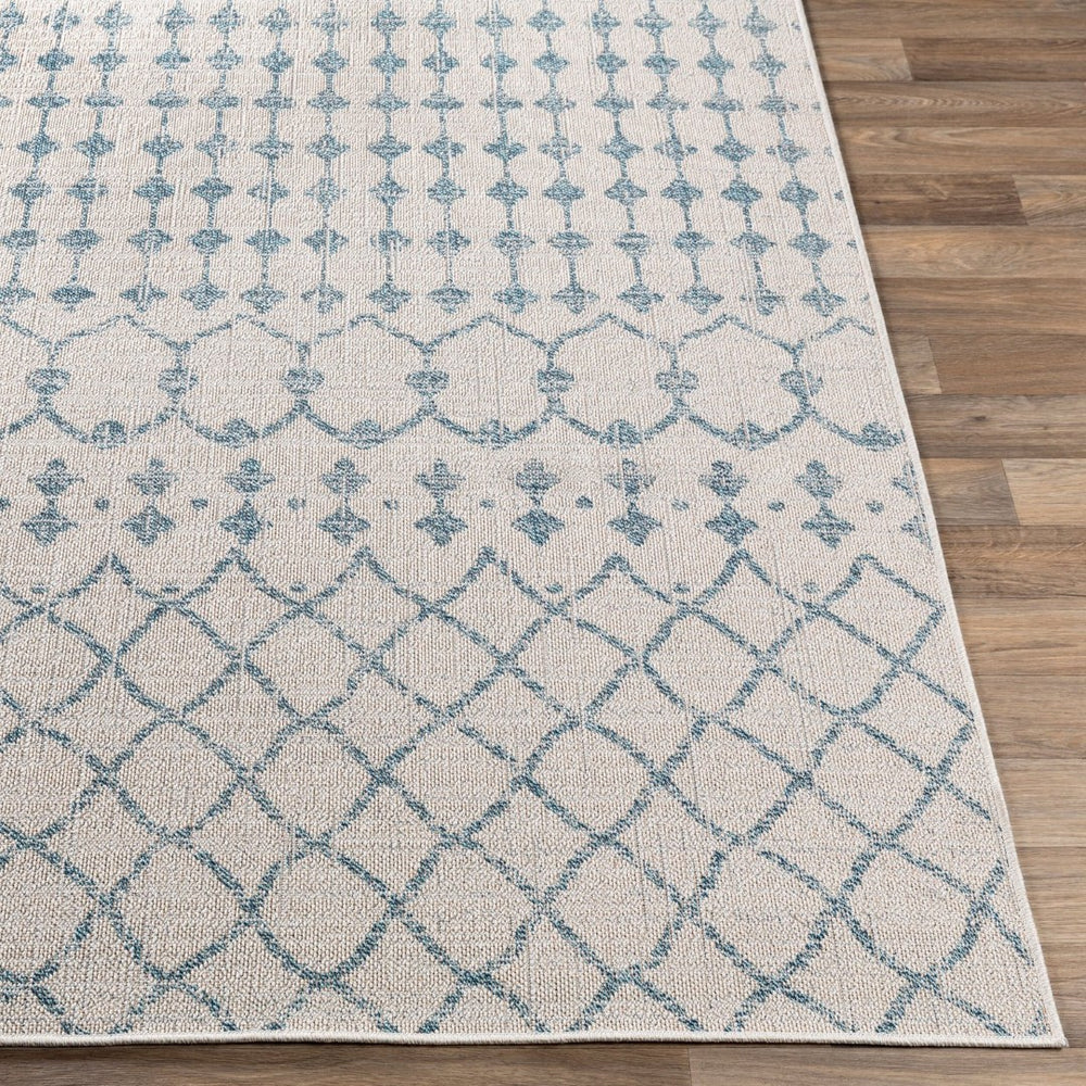 Livabliss Veranda Global Flatweave Polypropylene Rug for Entryways Kitchens and High Traffic Areas VRD2306-2211