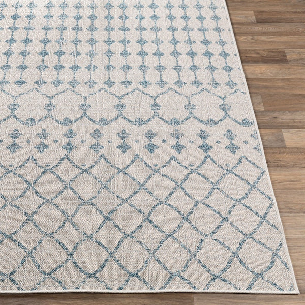 Livabliss Veranda Global Flatweave Polypropylene Rug for Entryways Kitchens and High Traffic Areas VRD2306-2211