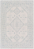 Veranda VRD-2311 6'7" x 9' Machine Woven Rug VRD2311-679 Livabliss Surya