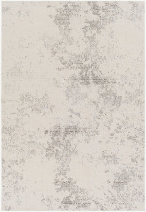Livabliss Veranda Low Pile Polypropylene Area Rug Turkish Woven for Entryways and Patios VRD2316-2211