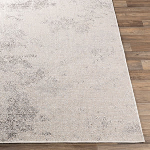 Livabliss Veranda Low Pile Polypropylene Area Rug Turkish Woven for Entryways and Patios VRD2316-2211