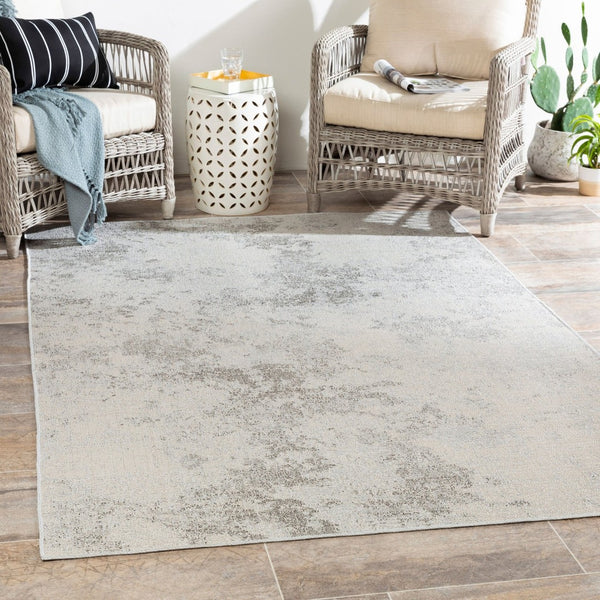 Livabliss Veranda Low Pile Polypropylene Area Rug Turkish Woven for Entryways and Patios VRD2316-2211