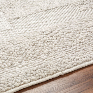 Surya Vesta Eco-friendly 10' X 14' Handmade Area Rug - Stylish, Durable, And Perfect For Any Room Decor Light Gray Recycled Pet Yarn Vst2301-1215