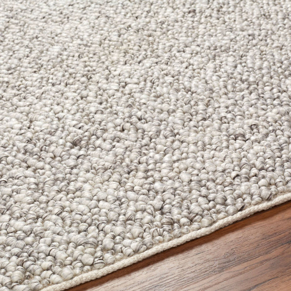 Surya Vesta Eco-friendly 10' X 14' Handmade Area Rug - Stylish, Durable, And Perfect For Any Room Decor Light Gray Recycled Pet Yarn Vst2302-576