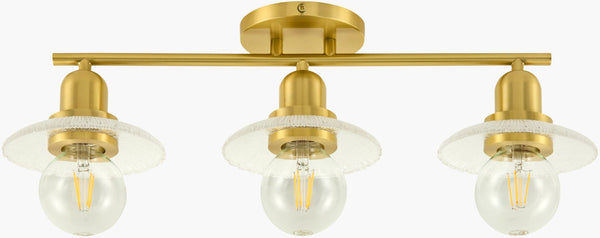 Livabliss Vastrav Art Deco Metal Glass Wall Sconce Soft Diffused Glow for Hallways and Vanities VSV-001