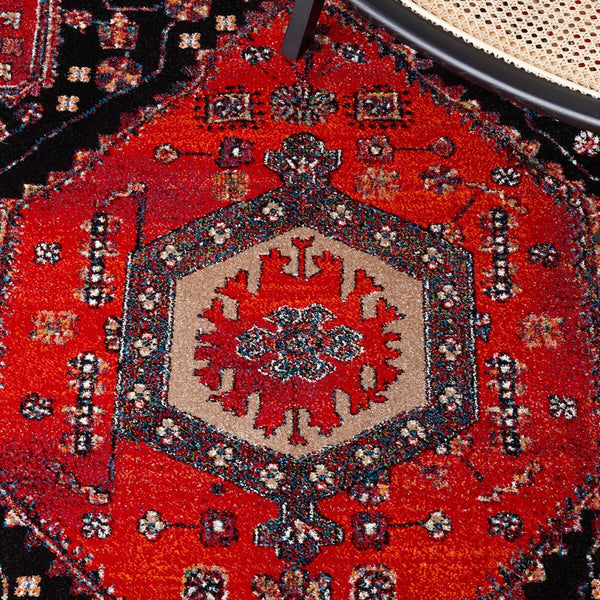 Safavieh Vintage Hamadan 204 Power Loomed Transitional Rug VTH204Q-6