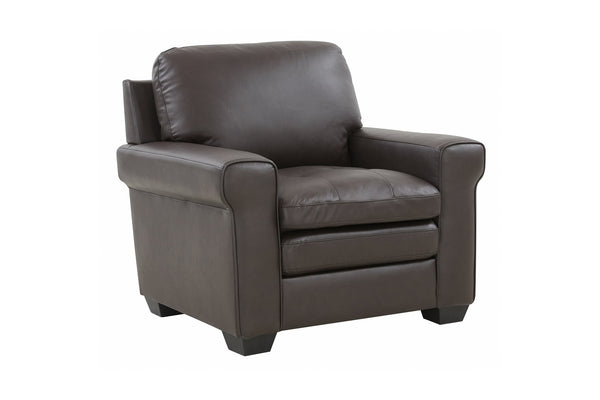 Porter Designs Porter Parma Luxe Top Grain Leather Chair In Rich Brown With Elegant Design And Comfort Features Brown Leather 02-189-03-4628