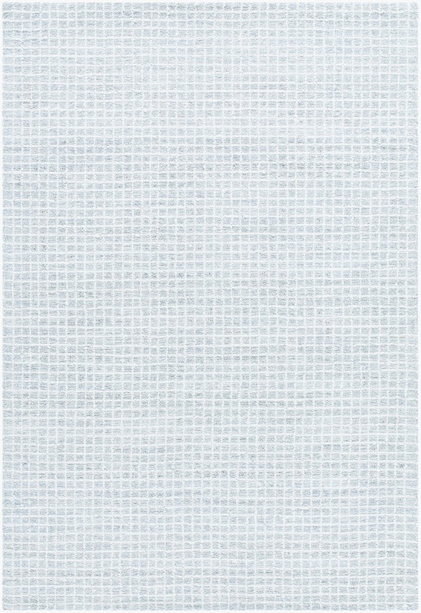 Livabliss Andreas Hand Tufted Wool Area Rug Low Pile Artisan Craft for Living or Dining Rooms Light Blue, Pal 2' x 3' VVAN2301-23
