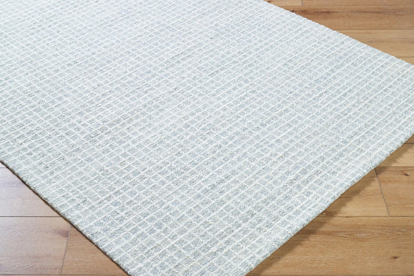 Livabliss Andreas Hand Tufted Wool Area Rug Low Pile Artisan Craft for Living or Dining Rooms Light Blue, Pal 2' x 3' VVAN2301-23