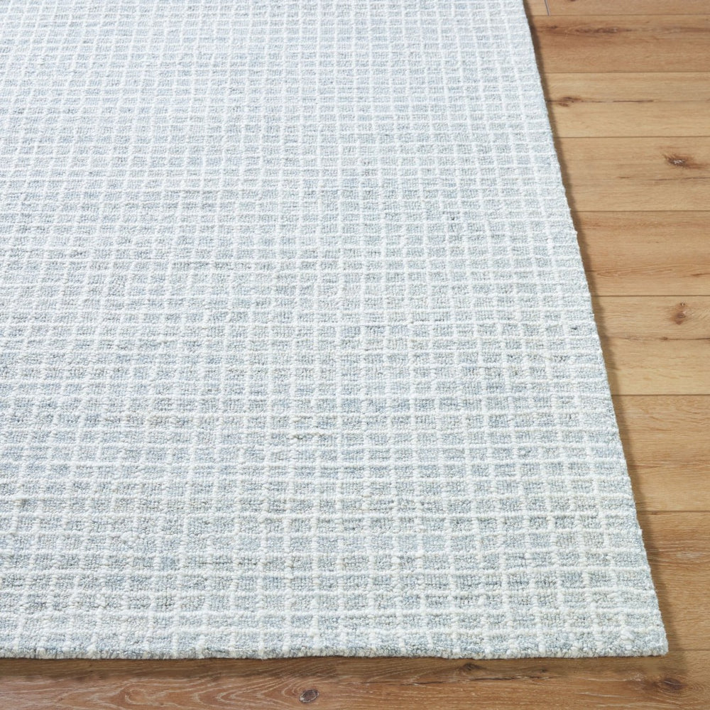 Livabliss Andreas Hand Tufted Wool Area Rug Low Pile Artisan Craft for Living or Dining Rooms Light Blue, Pal 2' x 3' VVAN2301-23