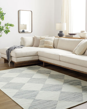 Livabliss Antho Wool Flatweave Area Rug Handwoven Geometric Diamond Pattern for Entryway Decor Ivory, Slate Gr 5' x 7'6" VVAT2303-576