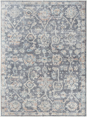 Livabliss Eleni Distressed Flatweave Polyester Accent Rug Vintage Inspired Entryway Floor Piece Black, Denim 8'10" x 12' VVEL2300-81012