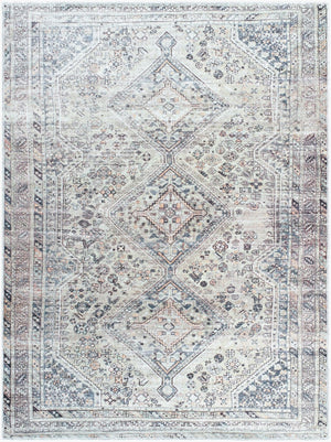 Livabliss Eleni Flatweave Polyester Rug with Diamond Medallion Distressed Vintage Pattern Light Beige, Gr 2' x 2'11" VVEL2301-2211