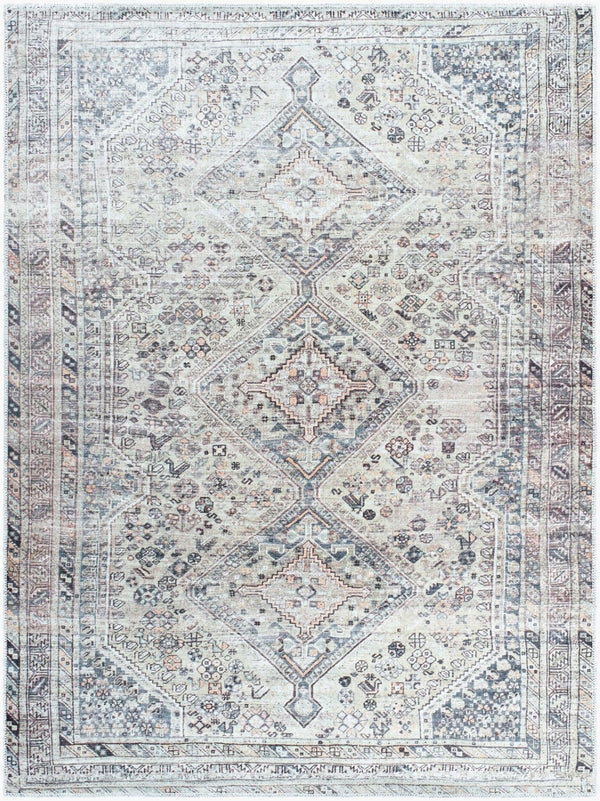 Livabliss Eleni Flatweave Polyester Rug with Diamond Medallion Distressed Vintage Pattern Light Beige, Gr 2' x 2'11" VVEL2301-2211