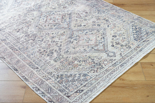 Livabliss Eleni Flatweave Polyester Rug with Diamond Medallion Distressed Vintage Pattern Light Beige, Gr 2' x 2'11" VVEL2301-2211