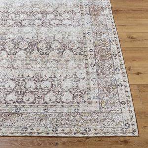 Livabliss Lorelai Flatweave Runner Antique Distressed Traditional Pattern for Hallway Entryway Dark Brown, Cre 8'10" x 12' VVLO2300-81012