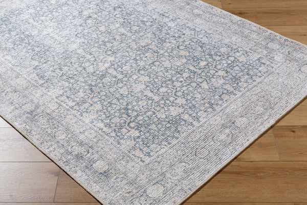Livabliss Lorelai Distressed Oriental Area Rug Machine Woven Polyester Vintage Style Accent Light Beige, Pe 5'3" x 7' VVLO2304-537