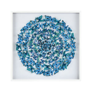 Atlas Blue Butterfly Dimensional Wall Art - Stunning 3D Design with Teal Accents for Tranquil Spaces WA11013-01