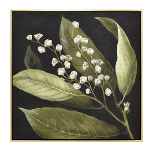 Atlas Botanical Elegance Framed Art Print - Stunning Lily-of-the-Valley on Black Background, 24.75" Square Botanical Study I Framed Wall Art WA11021-01