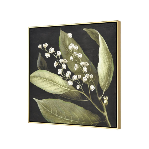 Atlas Botanical Elegance Framed Art Print - Stunning Lily-of-the-Valley on Black Background, 24.75" Square Botanical Study I Framed Wall Art WA11021-01