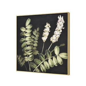 Atlas Botanical Elegance Framed Art Print - Stunning Lily-of-the-Valley on Black Background, 24.75" Square Botanical Study II Framed Wall Art WA11021-02