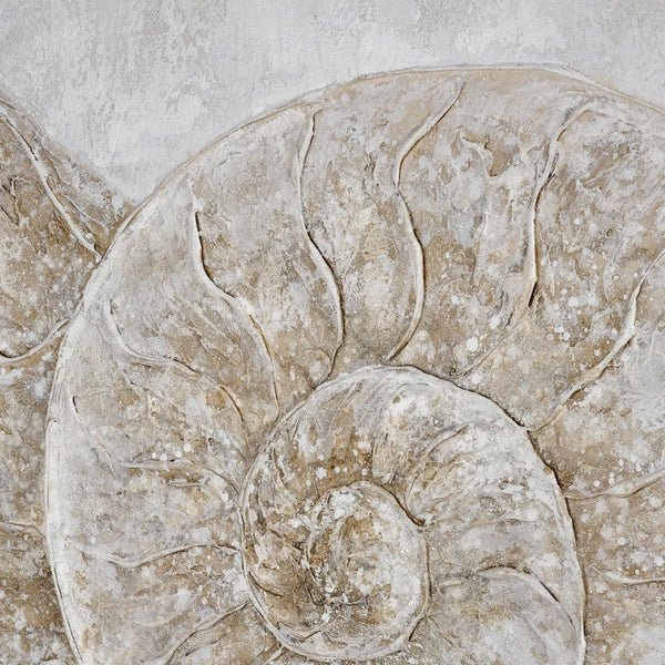 Atlas Coastal Framed Wall Art - Elegant Beach-Inspired Decor with Sand Dollar and Shell Fossil Design Coastal II Framed Wall Art WA11037-02