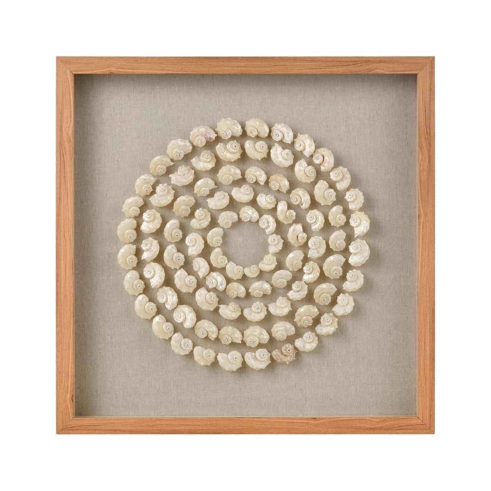 Atlas Concentric Shell Dimensional Wall Art - Serene Coastal Decor with Sculptural Shell Design & Frame WA11038-01