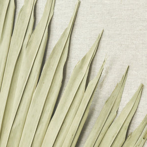 Atlas Fan Palm Dimensional Wall Art - Handmade Coastal Decor with Textured Linen and Light Oak Frame Natural WA11047-01