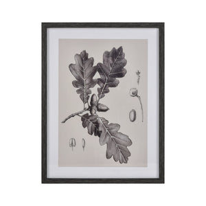 Atlas Foliage I Elegant Botanic Wall Art - Framed Charcoal Oak Branch Sketch for Modern Interiors WA11051-01