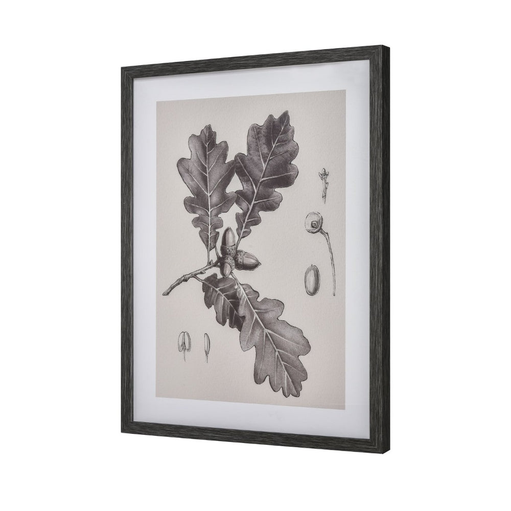Atlas Foliage I Elegant Botanic Wall Art - Framed Charcoal Oak Branch Sketch for Modern Interiors WA11051-01