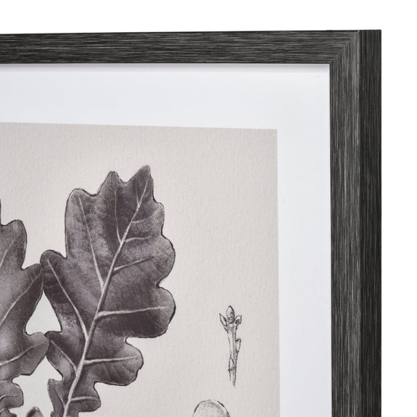 Atlas Foliage I Elegant Botanic Wall Art - Framed Charcoal Oak Branch Sketch for Modern Interiors WA11051-01