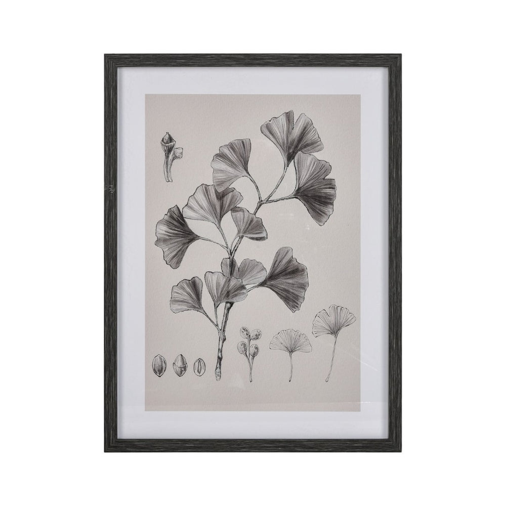 Atlas Foliage II Framed Wall Art - Elegant Ginkgo Drawing in Charcoal for Modern Home Decor, Ivory WA11051-02