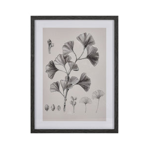 Atlas Foliage II Framed Wall Art - Elegant Ginkgo Drawing in Charcoal for Modern Home Decor, Ivory WA11051-02