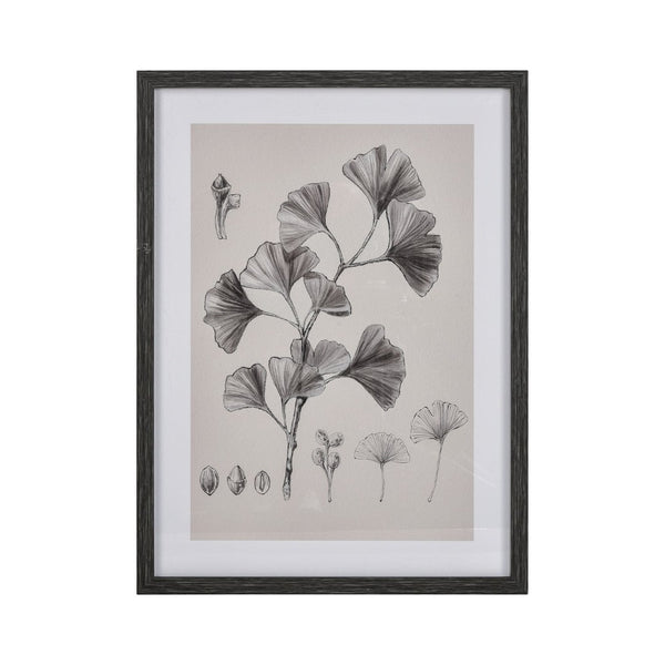 Atlas Foliage II Framed Wall Art - Elegant Ginkgo Drawing in Charcoal for Modern Home Decor, Ivory WA11051-02