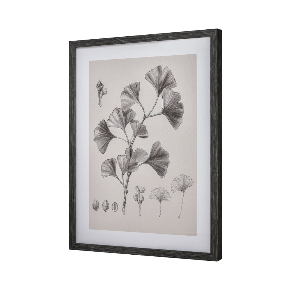 Atlas Foliage II Framed Wall Art - Elegant Ginkgo Drawing in Charcoal for Modern Home Decor, Ivory WA11051-02