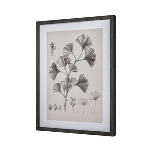 Atlas Foliage II Framed Wall Art - Elegant Ginkgo Drawing in Charcoal for Modern Home Decor, Ivory WA11051-02
