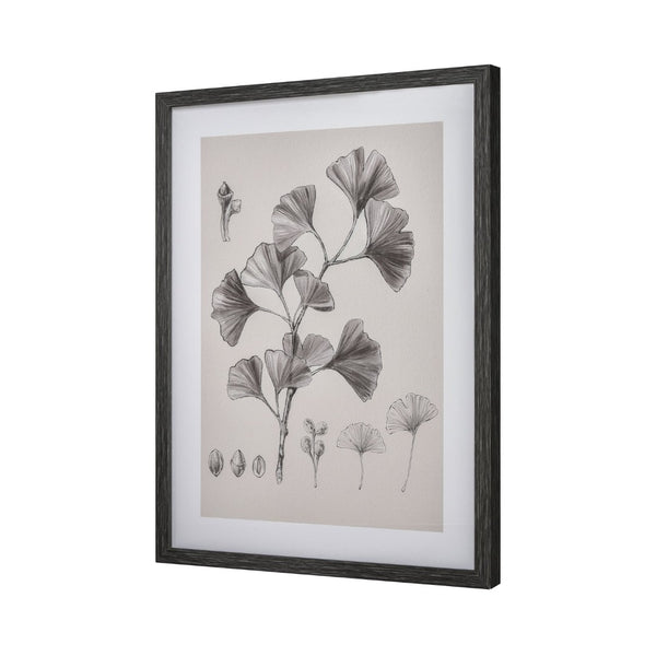 Atlas Foliage II Framed Wall Art - Elegant Ginkgo Drawing in Charcoal for Modern Home Decor, Ivory WA11051-02