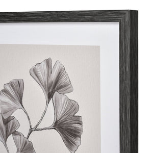 Atlas Foliage II Framed Wall Art - Elegant Ginkgo Drawing in Charcoal for Modern Home Decor, Ivory WA11051-02