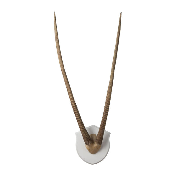 Atlas Gazelle Horns Dimensional Wall Art - Striking Sculptural Accent for Modern and Rustic Décor Spaces Ecru WA11058-02