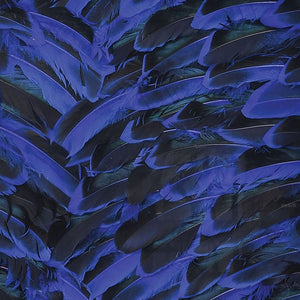 Atlas Neon Feather Dimensional Wall Art - Stunning Blue Accented Design for Modern Home Decor & Style WA11102-01