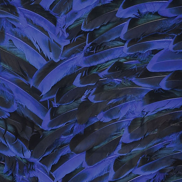 Atlas Neon Feather Dimensional Wall Art - Stunning Blue Accented Design for Modern Home Decor & Style WA11102-01