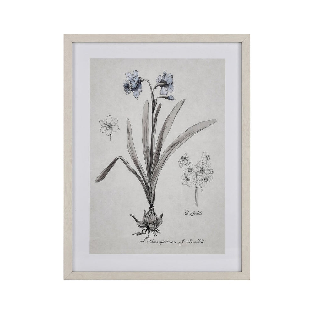 Atlas Stems Watercolor Daffodil Framed Wall Art - Elegant Cream Décor for Modern & Traditional Spaces WA11152-02