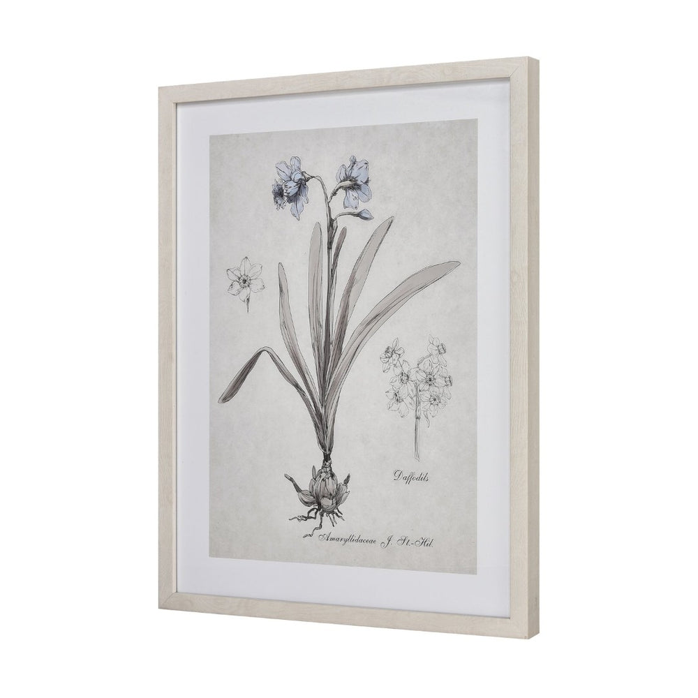 Atlas Stems Watercolor Daffodil Framed Wall Art - Elegant Cream Décor for Modern & Traditional Spaces WA11152-02