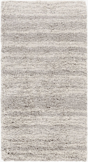 Livabliss Wilder Belgian Flatweave Polypropylene Accent Rug for Entryways Bathrooms and Bedrooms WDR2000-237