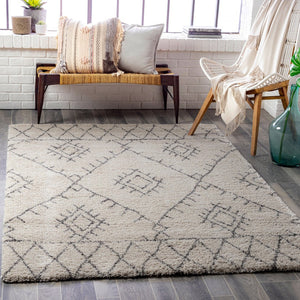 Livabliss Wilder Belgian Woven Polypropylene Area Rug Bohemian Global Pattern for Living Room WDR2003-7111011