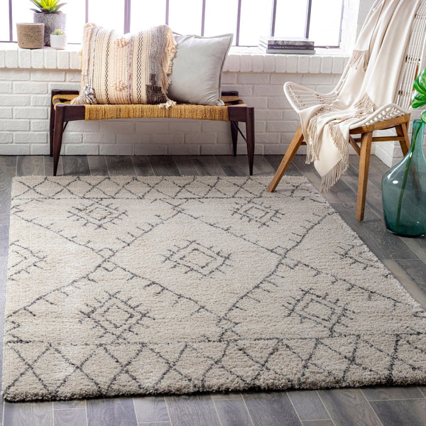 Livabliss Wilder Belgian Woven Polypropylene Area Rug Bohemian Global Pattern for Living Room WDR2003-7111011